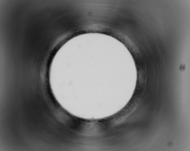 X0000103930396200810311522