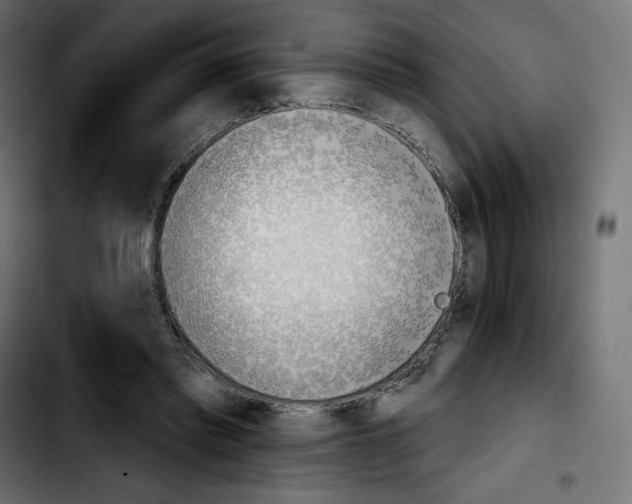 X0000103930397200810311522