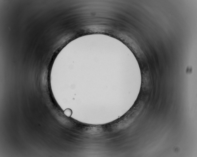 X0000103930398200810311522