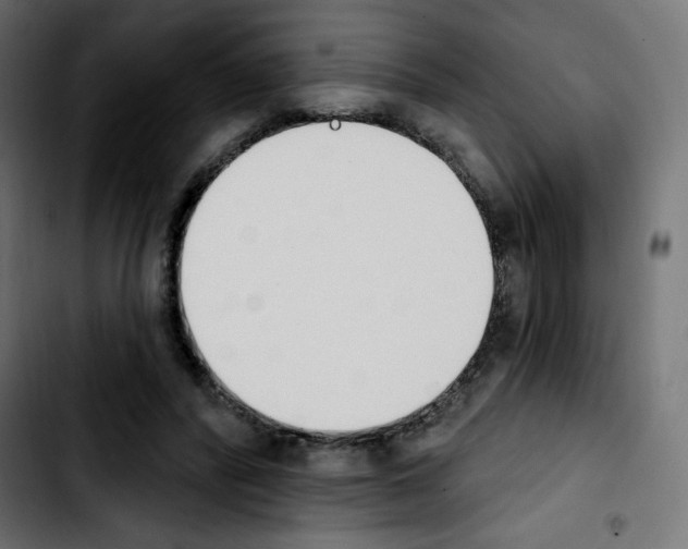 X0000103930400200810311522