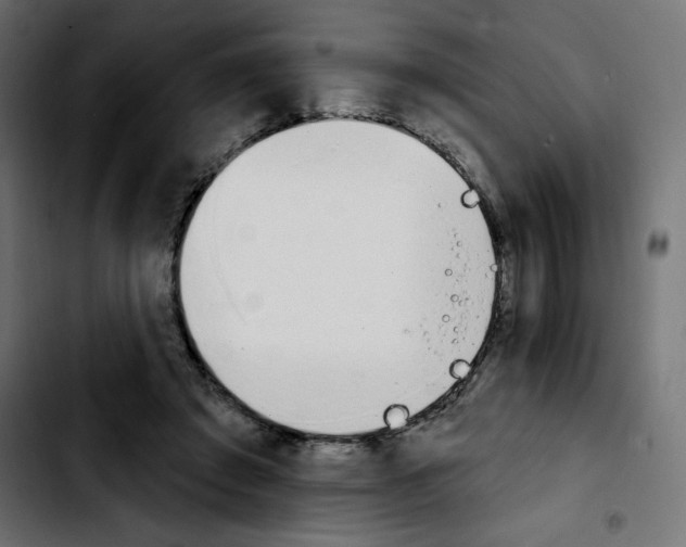 X0000103930401200810311522