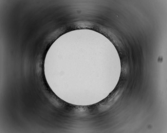 X0000103930402200810311522