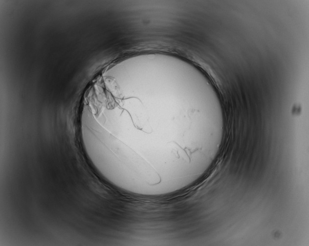 X0000103930403200810311522
