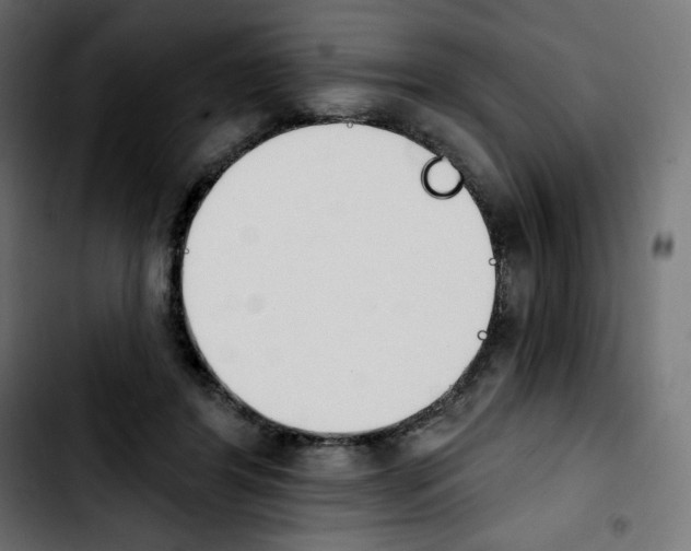 X0000103930404200810311522