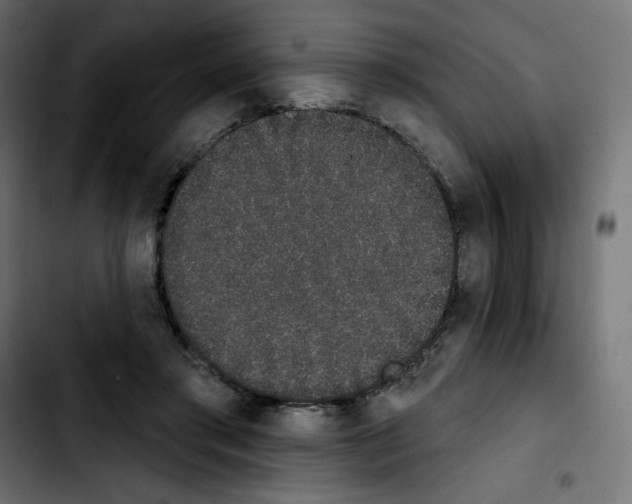 X0000103930405200810311522