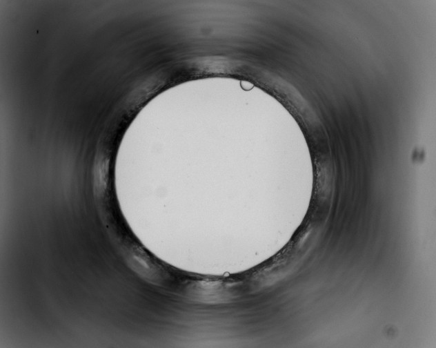 X0000103930406200810311522