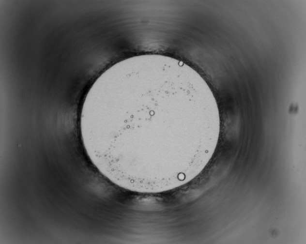 X0000103930407200810311522