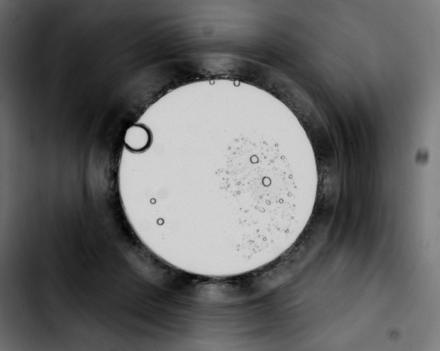 X0000103930408200810311522