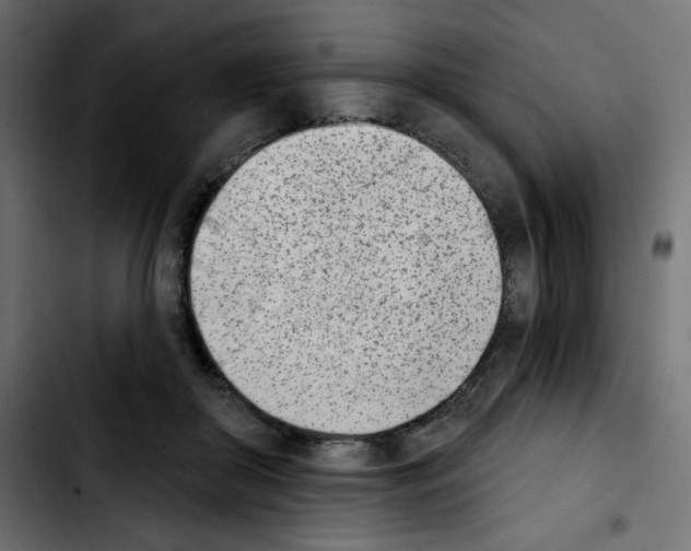 X0000103930410200810311522