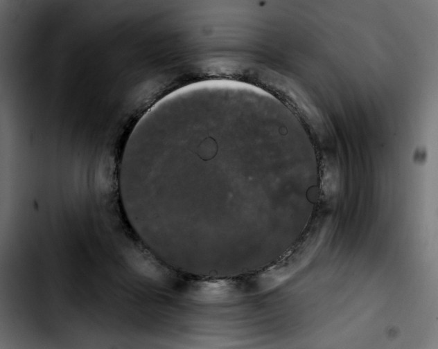 X0000103930411200810311522