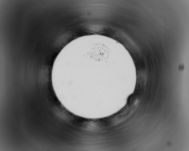 X0000103930412200810311522