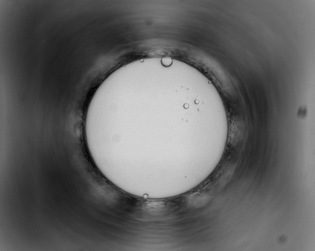 X0000103930413200810311522