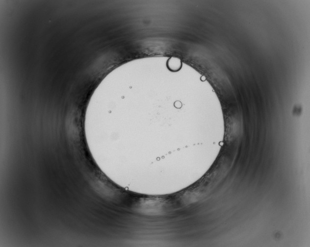 X0000103930414200810311522