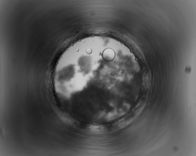 X0000103930415200810311522