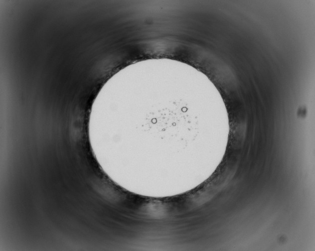 X0000103930416200810311521