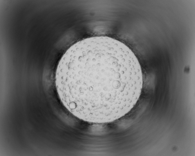 X0000103930418200810311521