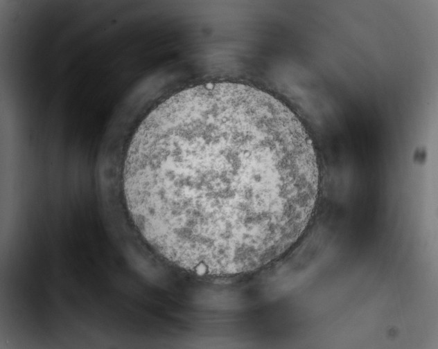 X0000103930421200810311521