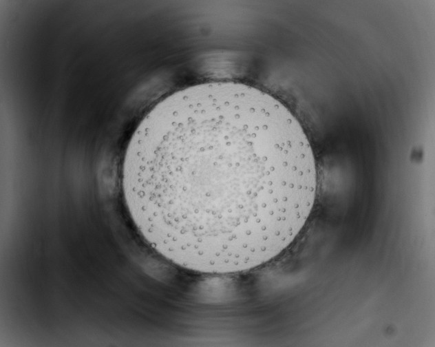 X0000103930422200810311521
