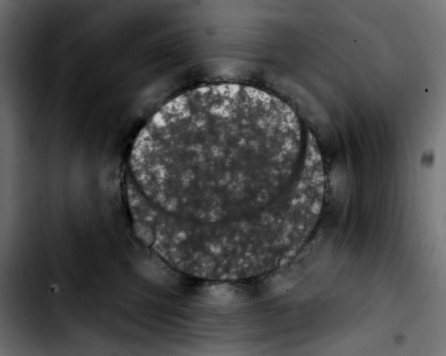 X0000103930423200810311521