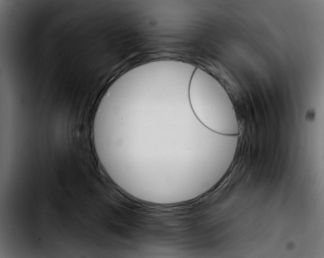 X0000103930425200810311521