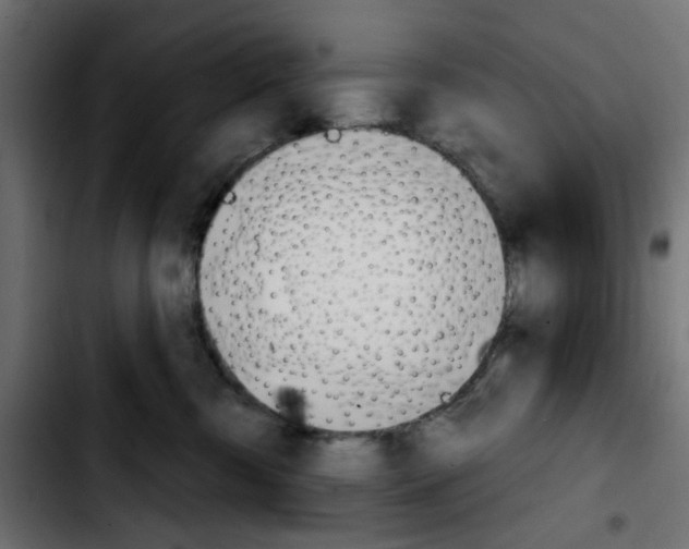 X0000103930426200810311521