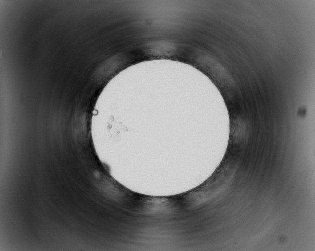 X0000103930428200810311521