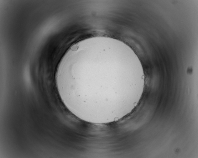 X0000103930429200810311521