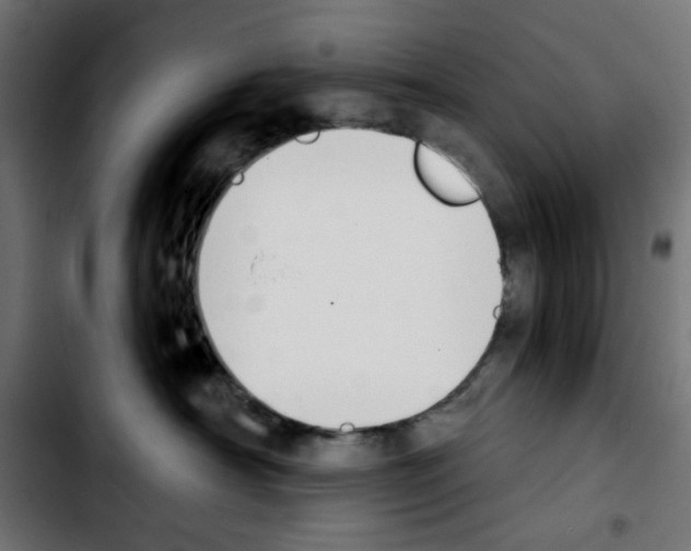 X0000103930430200810311521