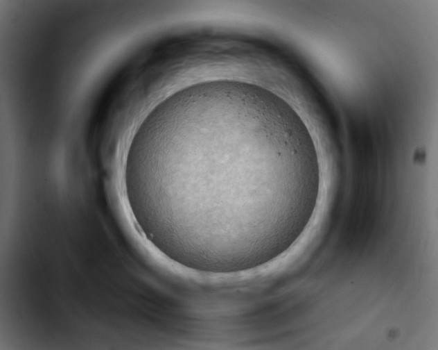 X0000103930431200810311521