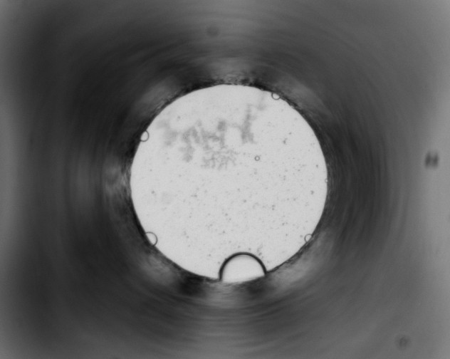 X0000103930432200810311521