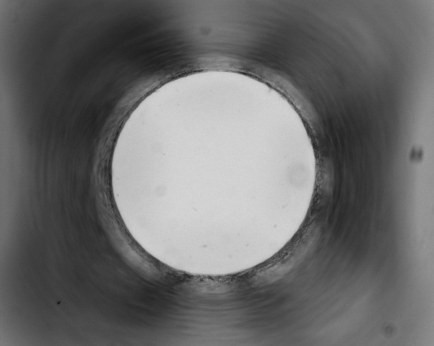 X0000103930433200810311520