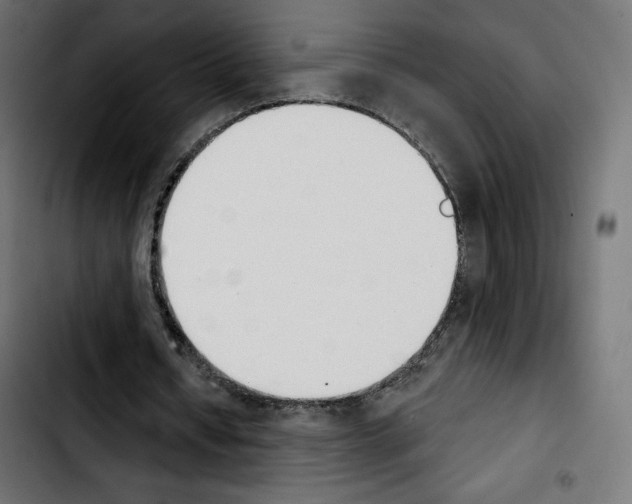 X0000103930434200810311520
