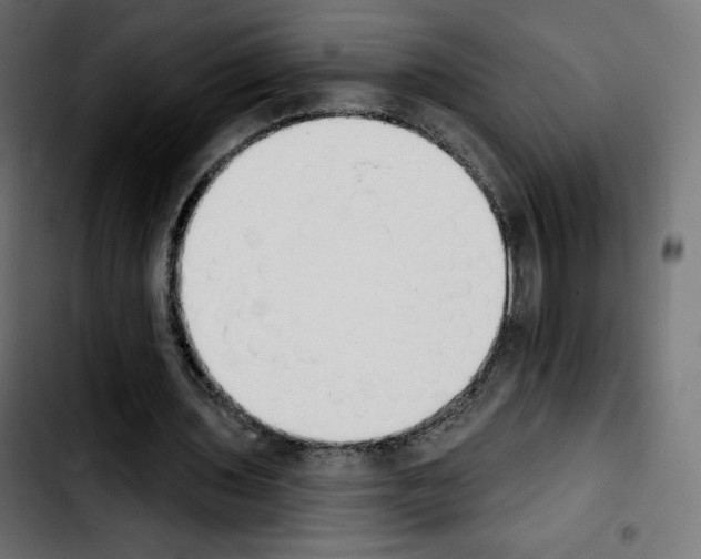 X0000103930435200810311520