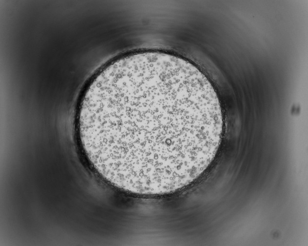 X0000103930436200810311520