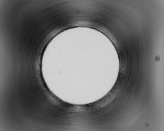 X0000103930437200810311520