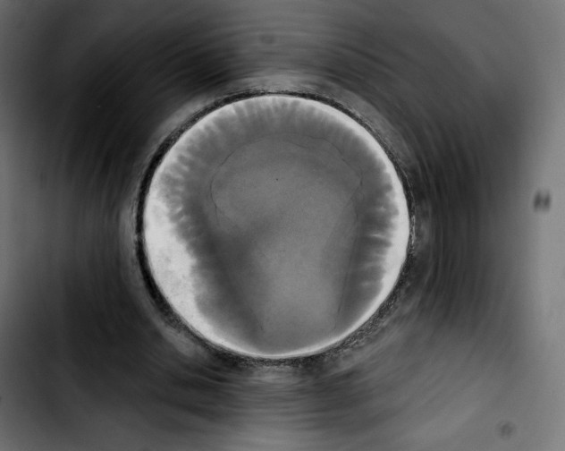 X0000103930438200810311520
