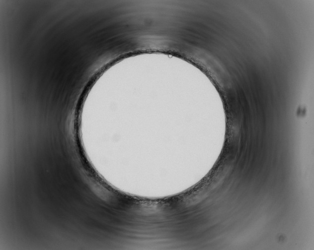 X0000103930439200810311521