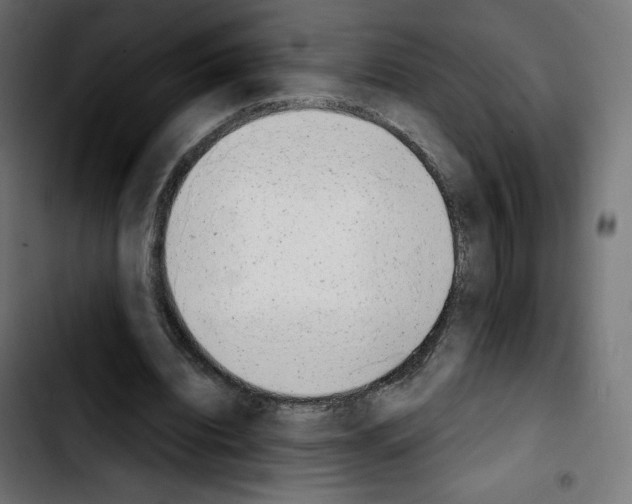 X0000103930440200810311521