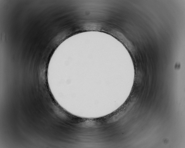 X0000103930441200810311521