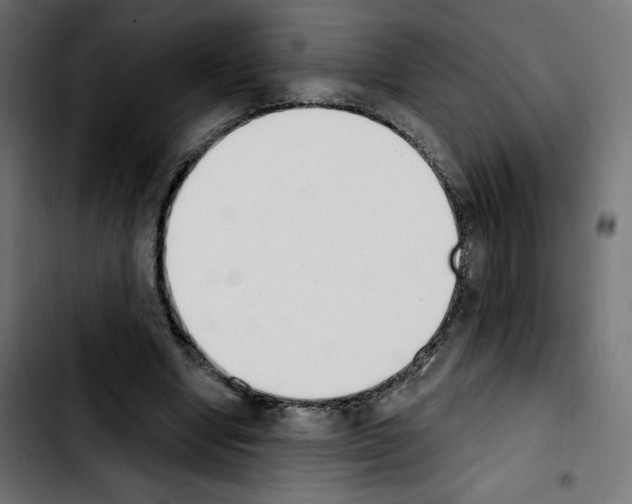X0000103930442200810311521
