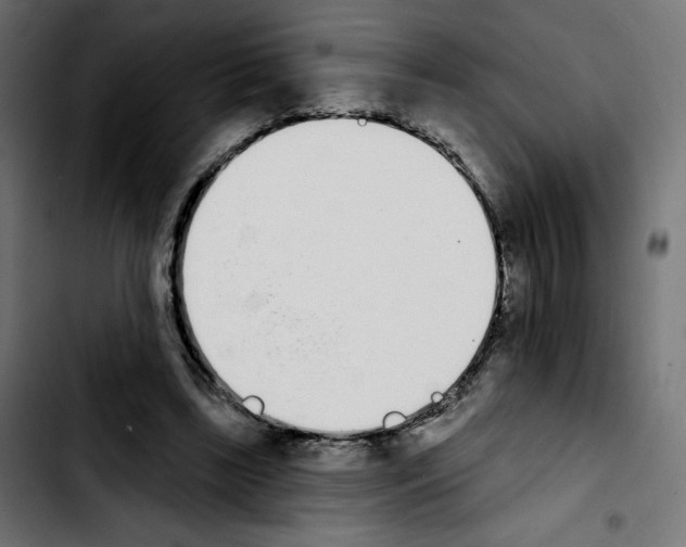 X0000103930443200810311521