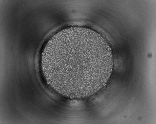 X0000103930444200810311521