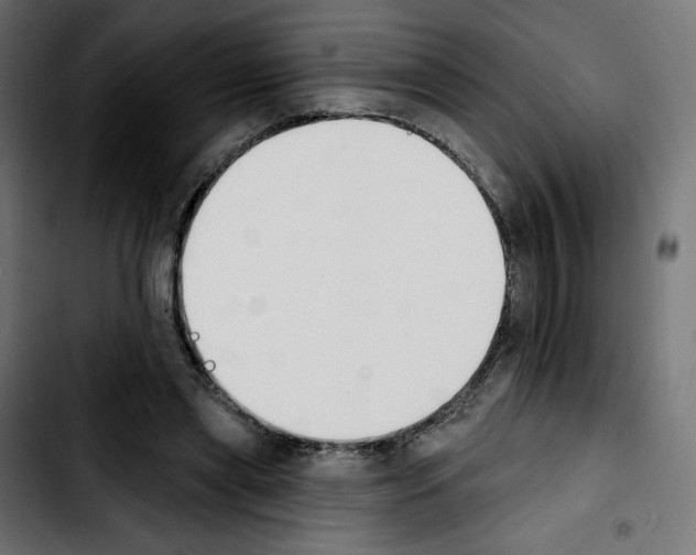 X0000103930445200810311521