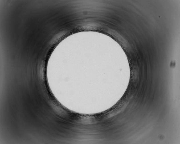 X0000103930446200810311521