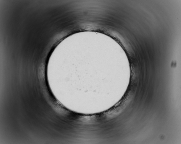 X0000103930447200810311521