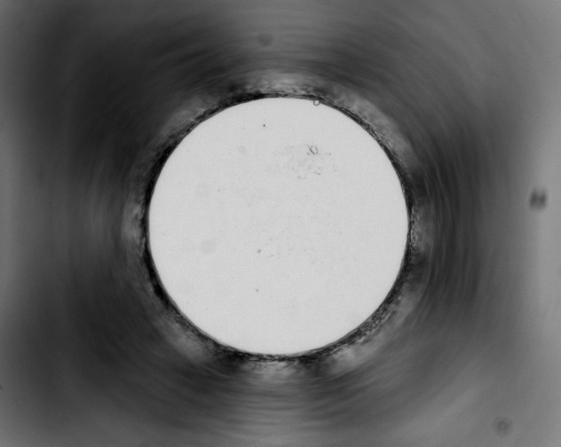 X0000103930449200810311521