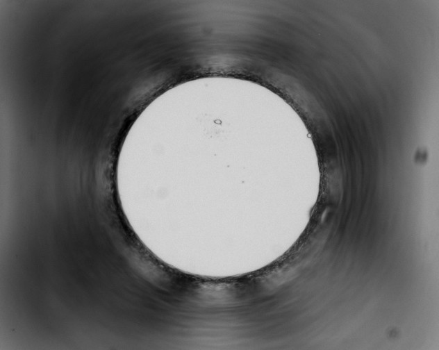 X0000103930450200810311521