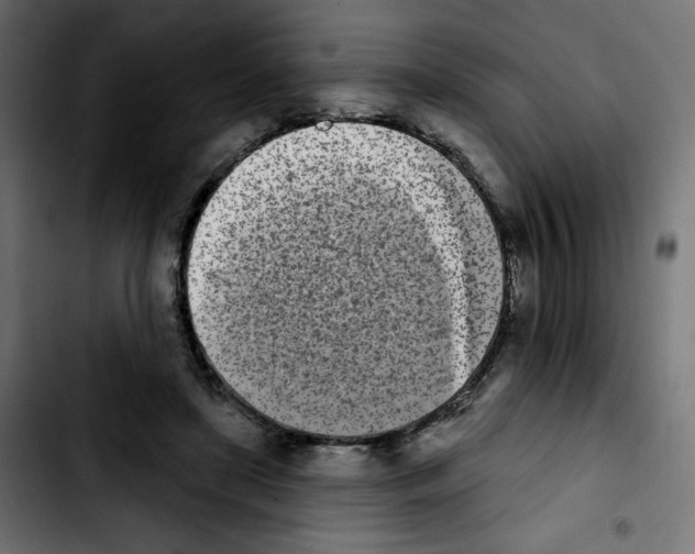 X0000103930451200810311521
