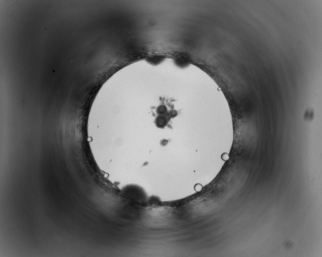 X0000103930452200810311521