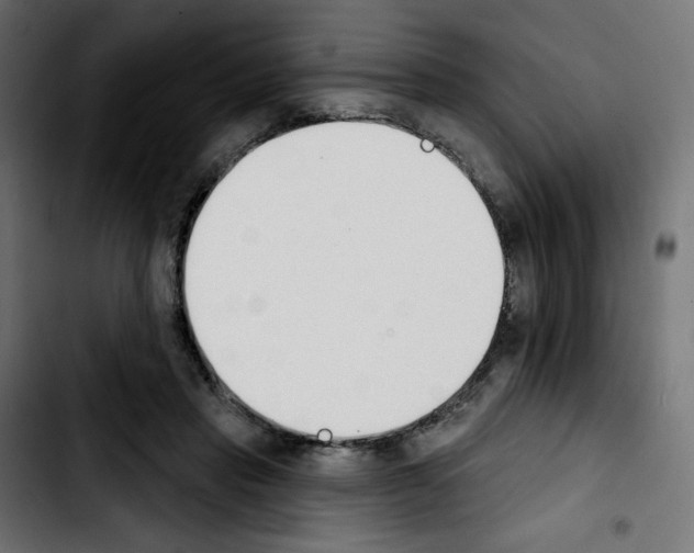 X0000103930453200810311521